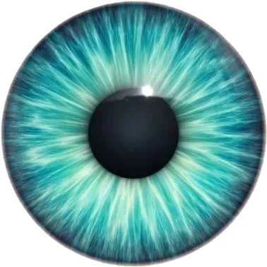 el ojo