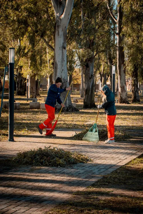 LIMPIEZA CIUDAD 3
