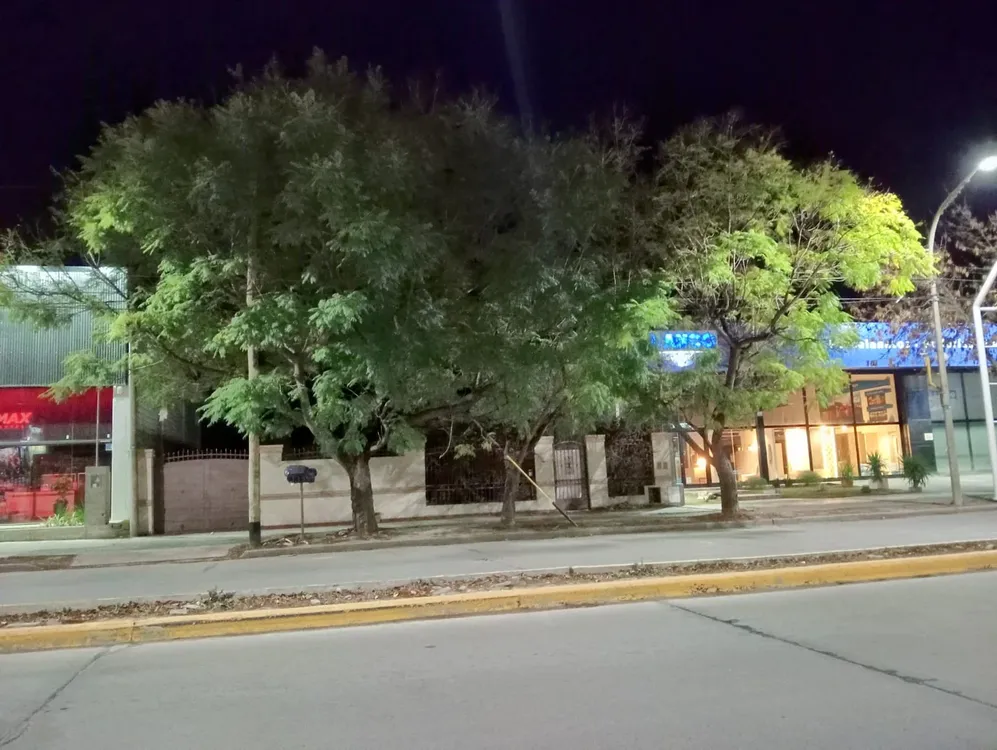 ARBOLES CASA SOBRE SAVIO 1