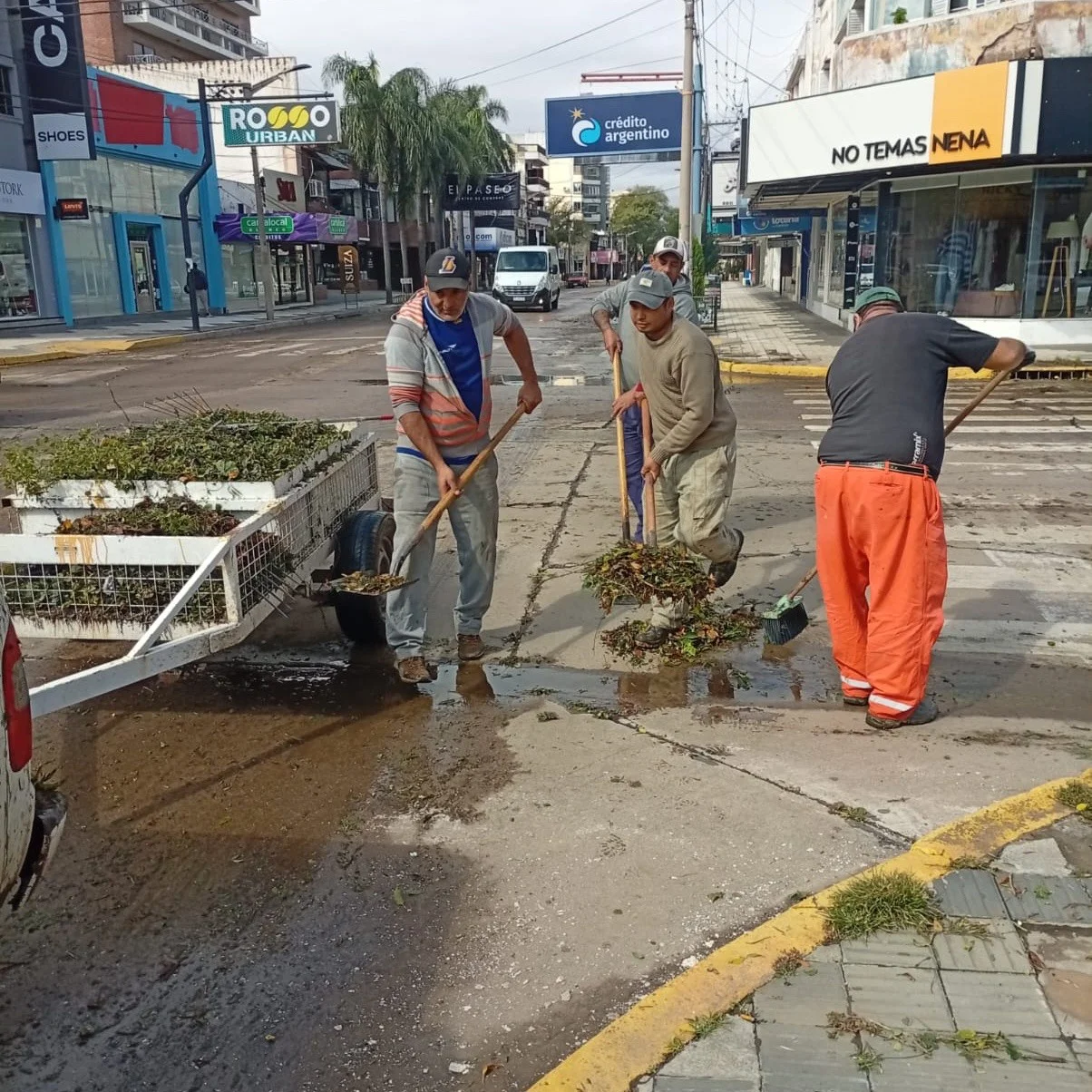 TRABAJO MUNICIPAL12345