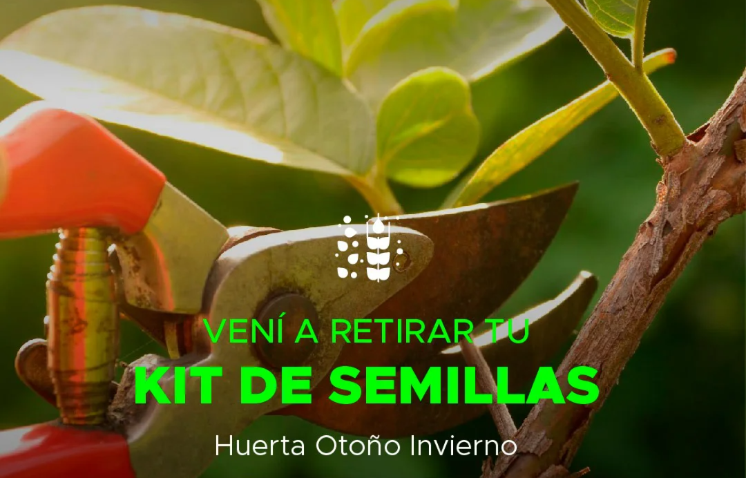 KIT DE SEMILLAS