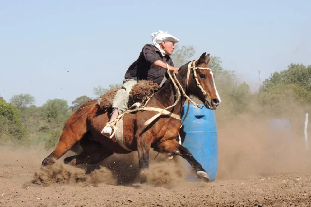 1°-Festival-de-Destrezas-Criollas