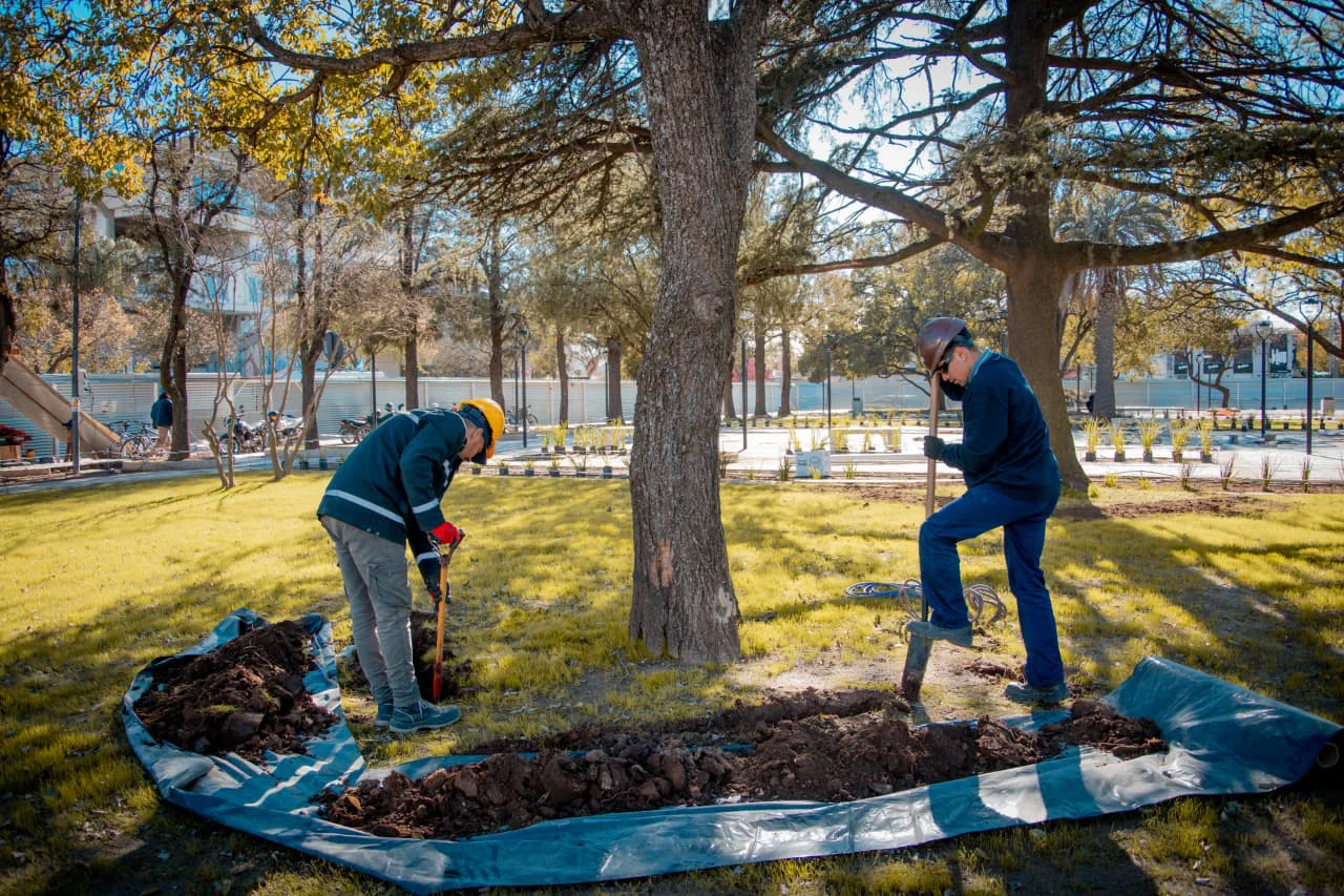 PLAZA SAN MARTÍN RENOVADA 3