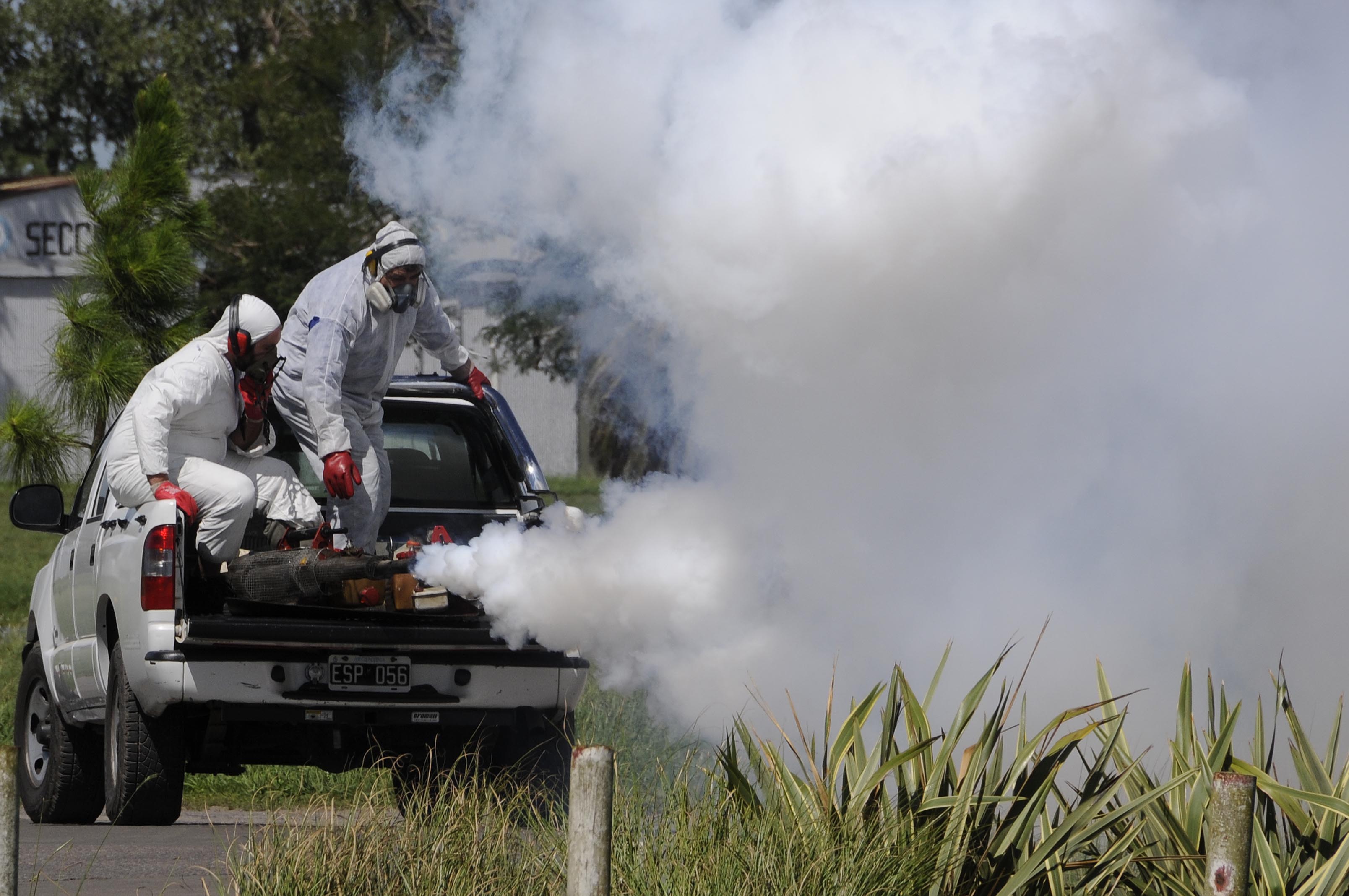 Circunstancias imprevistas Nylon Burro El municipio sale por los barrios a fumigar contra el mosquito Aedes Aegypt  – El Ojo Web